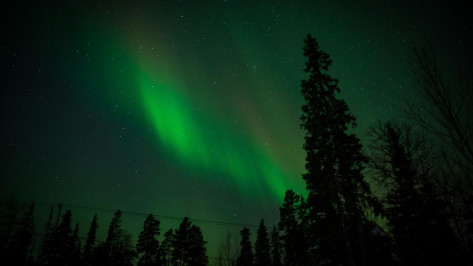 Из-за сильной магнитной бури воронежцы могут увидеть полярное сияние