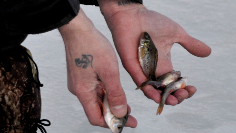 Воронежские спасатели уговорили 3 рыбаков покинуть лед