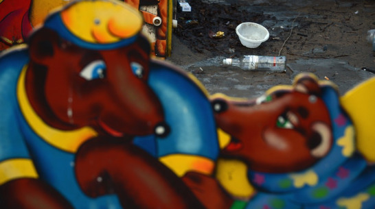 Фото РИА «Воронеж»: обратная сторона весны