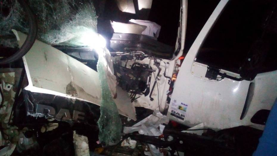 После столкновения 2 грузовиков в Воронежской области 26-летний парень попал в больницу