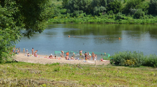 В Семилуках добровольцы очистят берег Дона от мусора