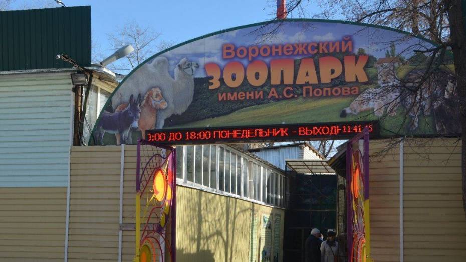 В Воронежском зоопарке пройдут показательные кормления крокодилов и обезьян