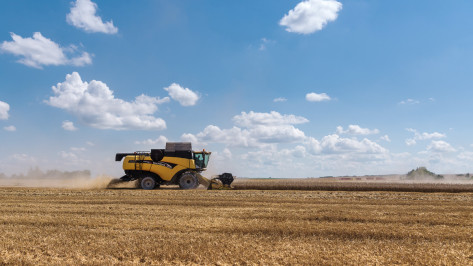 «Продимекс» подтвердил высокие темпы уборочной кампании сезона-2025 в Воронежской области