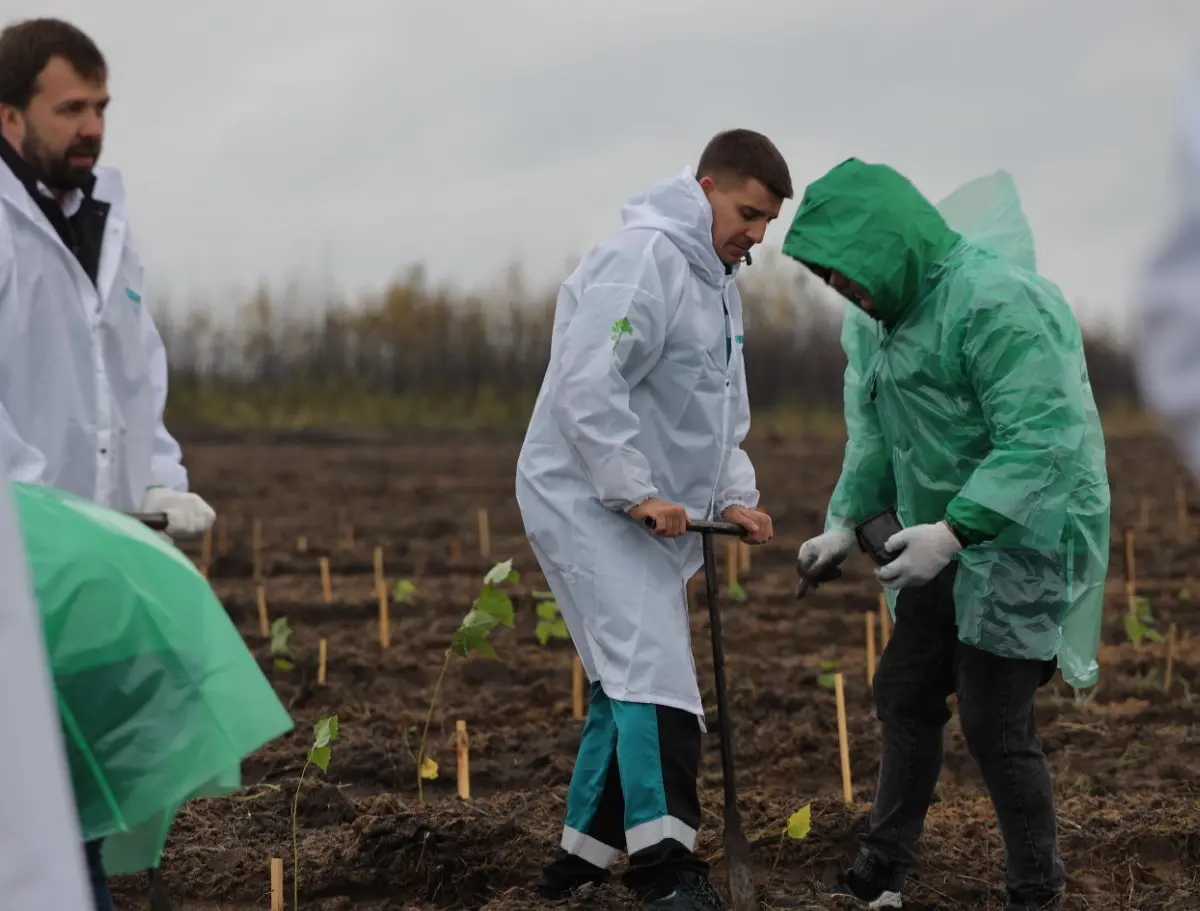 На карбоновом полигоне в Воронеже завершается посадка деревьев для  климатического проекта