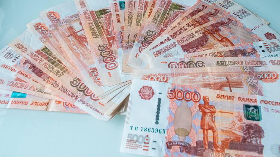 Правительство Воронежской области поощрит 16 районов-лидеров по собираемости налогов