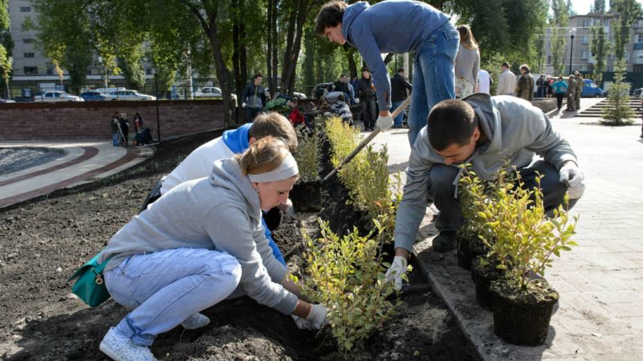 В Воронеже пройдет экосубботник в честь юбилея Победы