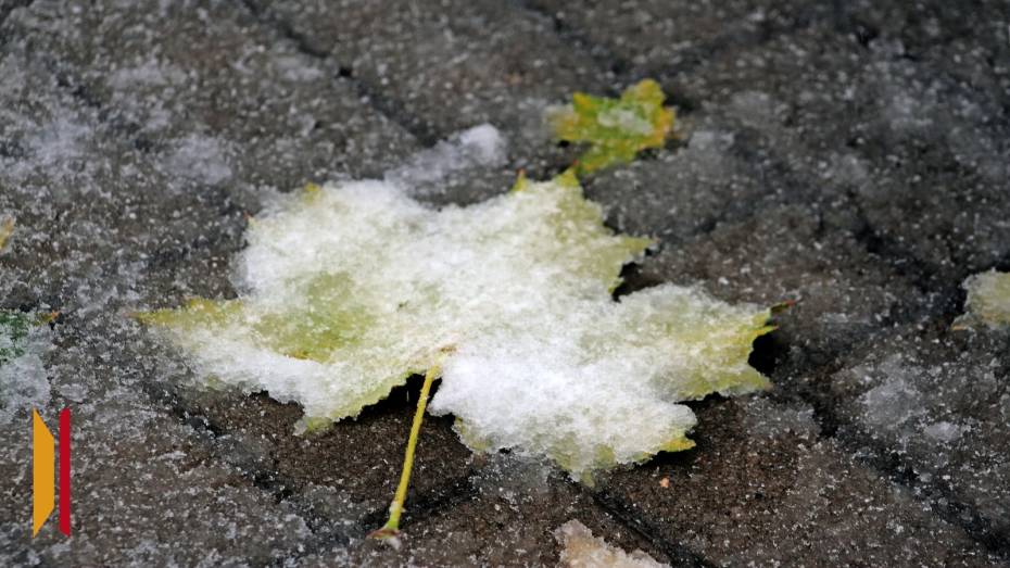 Стало известно, придет ли в Воронеж снежный циклон из Москвы