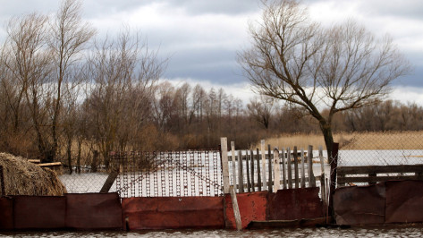 Более 100 приусадебных участков затопило в Воронежской области