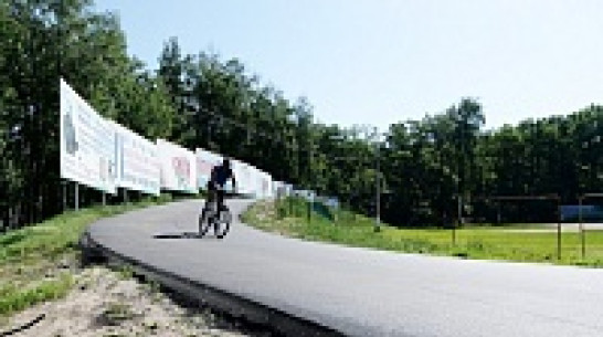 В Воронеже реконструкция «Олимпика» обойдется в 300 млн рублей