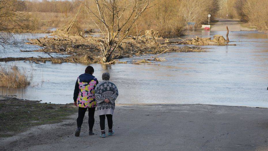 Река Савала подтопила низководный мост в Воронежской области