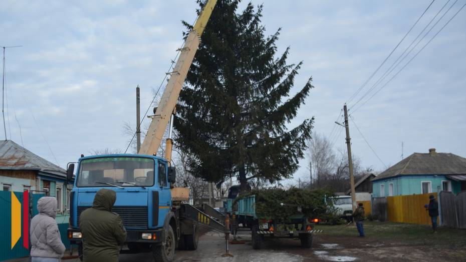 В Воробьевке главным символом новогоднего праздника стала 15-метровая ель из села Новотолучеево