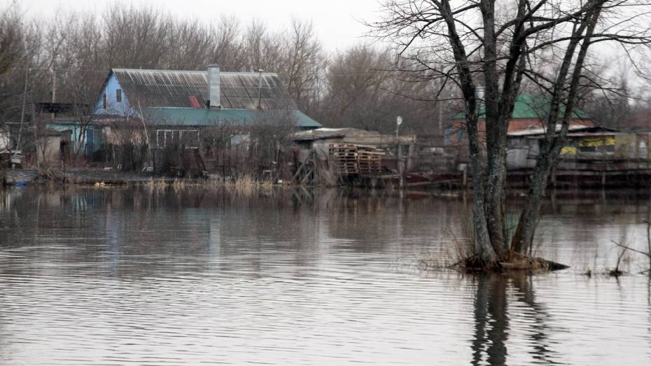 В Воронежской области затоплены 6 мостов и 29 приусадебных участков