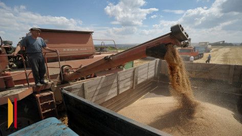 На развитие сельского хозяйства в Воронежской области было направлено 6,5 млрд рублей