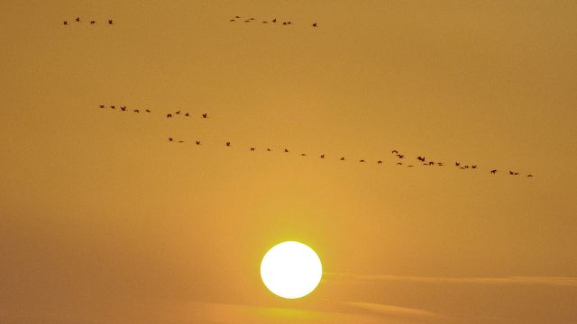 Синоптики оценили вероятность экстремально жаркого лета в Воронежской области в 2024 году