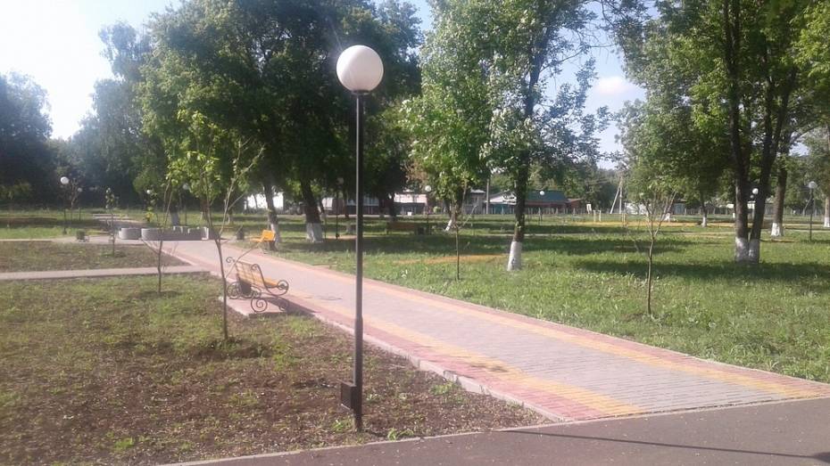 В парке грибановского села Листопадовка высадили около 100 деревьев