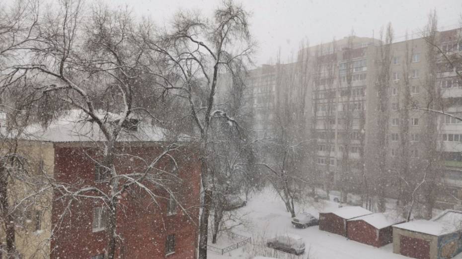 Метель и сильный снегопад задержатся в Воронежской области до 14 февраля