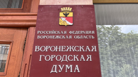 Воронежцы узнают имена кандидатов на пост мэра города 21 августа