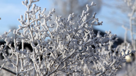 В Воронежской области вновь похолодает до -21 градуса
