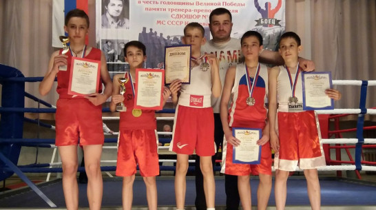 Боксеры из Семилук победили в областном первенстве