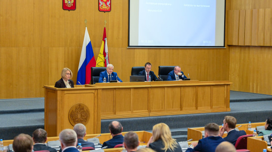 Министр внутренней политики Воронежской области Елена Дерганова представила проект закона по укреплению межнационального согласия в регионе
