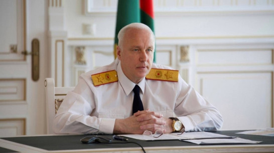 Глава СК поручил доложить о расследовании нападения бродячей собаки на девочку в Воронеже