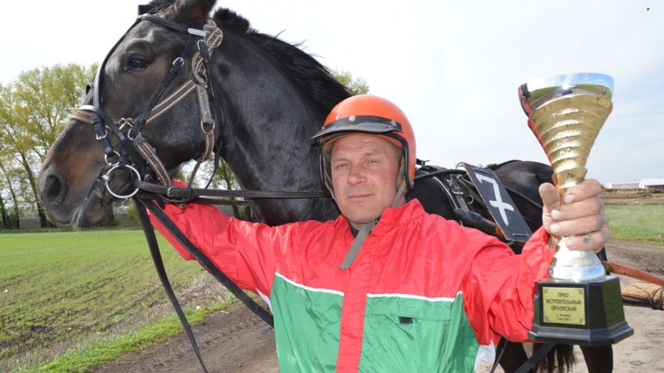 Эртильский жеребец стал победителем на лошадиных бегах в Чесменке
