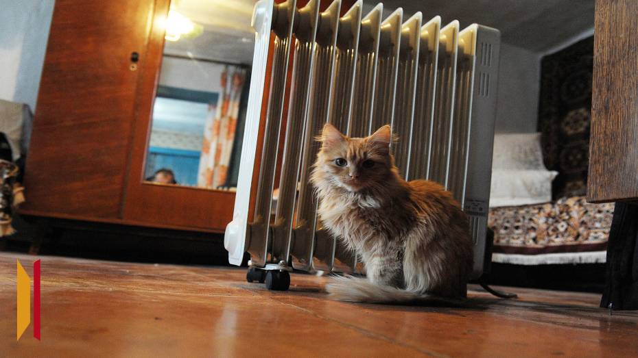 Уровень потребления электроэнергии в Воронежской области побил третий за зиму рекорд