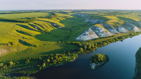 Воронежцы смогут поддержать 2 региональных проекта на всероссийском конкурсе экотуризма