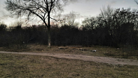 В Воронеже пройдет сбор желающих стать поисковиками