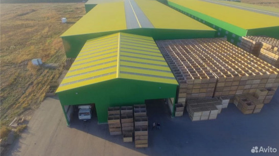 В Боброве Воронежской области выставили на продажу овощехранилище за 220 млн рублей