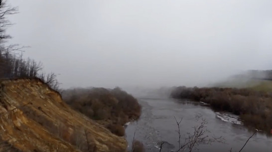 Стремительное наступление снежной бури сняли на видео под Воронежем