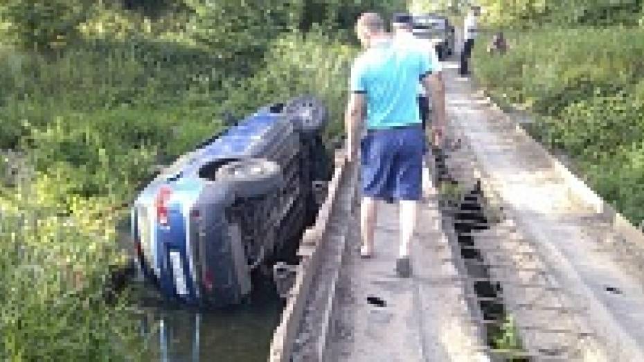 В Павловске Nissan Qashqai упал с моста в воду