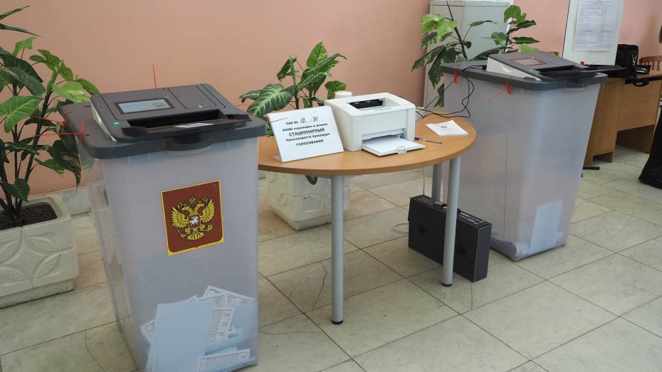 «Мы голосуем за будущее Воронежской области». Главы муниципалитетов и парламентарии – о своем участии в выборах губернатора