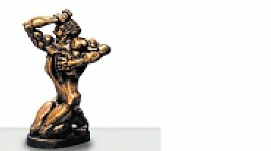 Воронежская телепередача прошла в финал всероссийского конкурса «ТЭФИ-Регион»