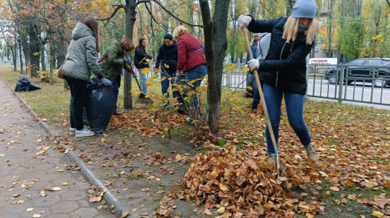 Обзор РИА «Воронеж»: как в Воронеже прошел осенний субботник
