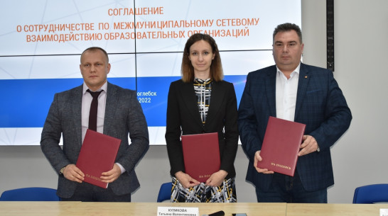 Борисоглебск и Терновка подписали соглашение о сетевом взаимодействии в образовании