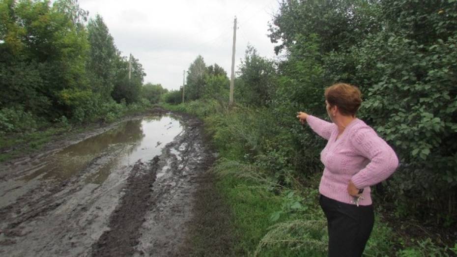 В Нижнедевицком районе сорвавшийся со столба электропровод убил четырех коров