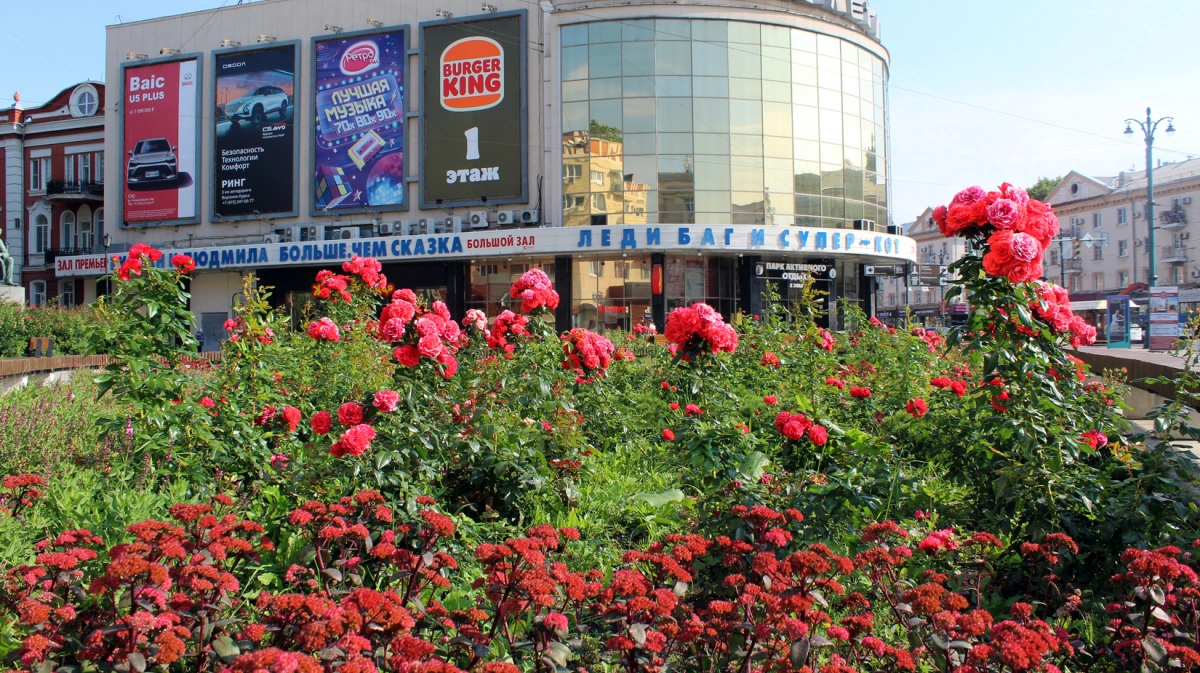 Фестиваль «Город-сад-2023» в Воронеже станет самым многочисленным по количеству участников