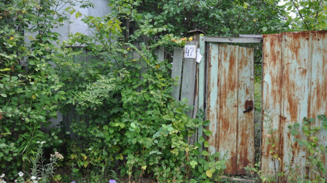 В Воронежской области в жилом доме нашли тела матери и дочери