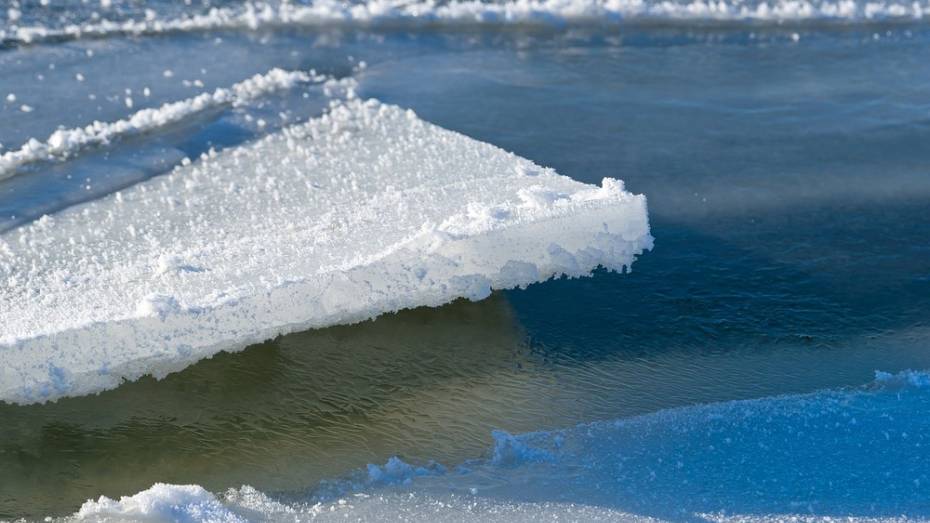 Отколовшаяся льдина сорвала понтонный мост в Воронежской области