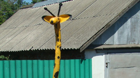 В поселке Елань-Коленовском Новохоперского района появился жираф, исполняющий  желание   