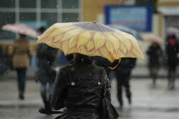 Желтый уровень опасности объявили в Воронежской области из-за грозы и сильного ветра
