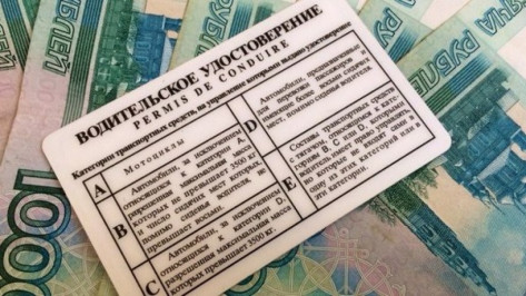 Прокуроры добились отмены 12 тыс незаконных штрафов в Воронежской области