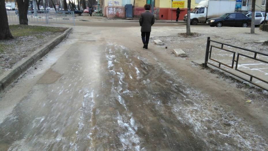 В Воронеже погодные условия стали причиной травм 376 человек за неделю