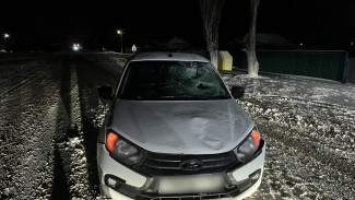 В воронежском поселке Нижний Кисляй «Лада» при обгоне насмерть сбила 65-летнего мужчину