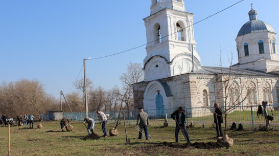 В Кашире добровольцы озеленили территорию храма