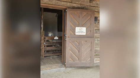 В Воронежской области обнаружили зоопарк без лицензии