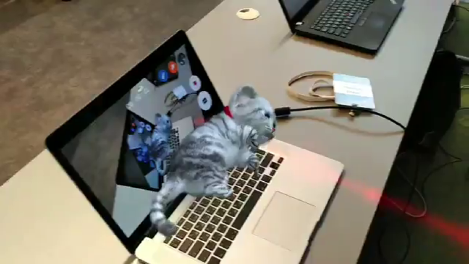 В Воронеже на IT-конференции выпустят виртуальных котят