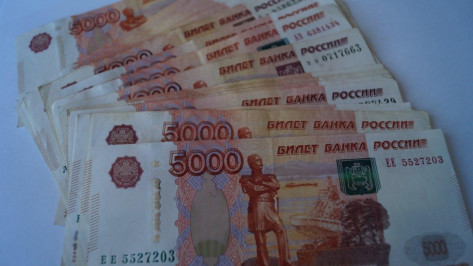 Из-за роста зарплат в Воронежской области выросла сумма налоговых поступлений в бюджет