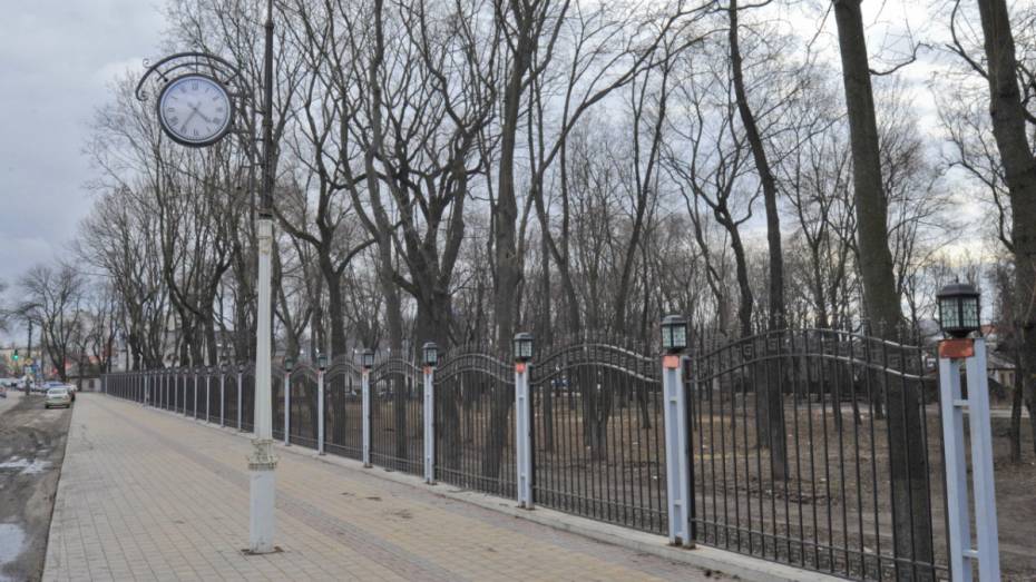 Власти запустили опрос о благоустройстве Бринкманского сада в Воронеже